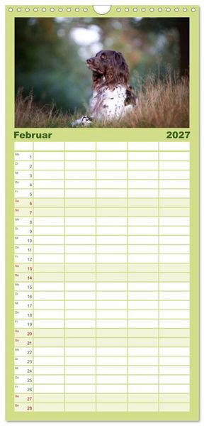 Produktbild: Familienplaner 2027 - Jagdhund im Portrait - Deutsch Langhaar mit 5 Spalten (Wandkalender, 21 x 45 cm) CALVENDO