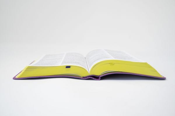 Produktbild: Die Bibel. Senfkorn, Handschmeichler lila
