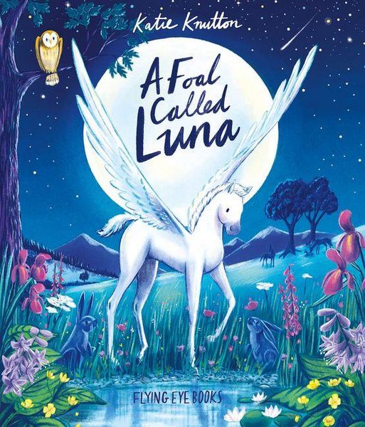 Produktbild: A Foal Called Luna