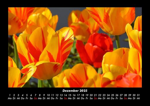 Produktbild: Blumentr&auml;ume 2025 Fotokalender DIN A3