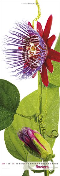 Produktbild: Flowers 2023