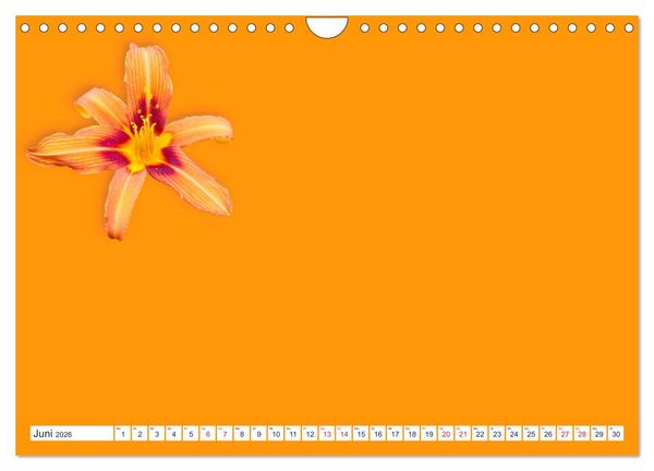 Produktbild: DIY POESIE - BASTELKALENDER (Wandkalender 2026 DIN A4 quer), CALVENDO Monatskalender