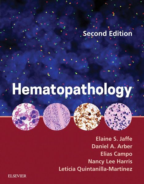 Produktbild: Hematopathology E-Book