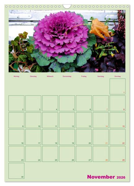 Produktbild: Gartenplaner (Wandkalender 2026 DIN A3 hoch), CALVENDO Monatskalender