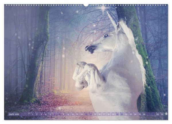 Produktbild: Einhorn Love - Fantasiewelt (Wandkalender 2026 DIN A2 quer), CALVENDO Monatskalender