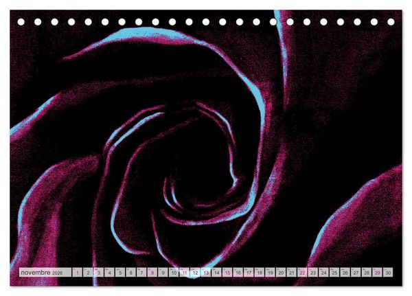 Produktbild: Roses peintes (Calendrier de bureau 2026 DIN A5 vertical), CALVENDO calendrier mensuel