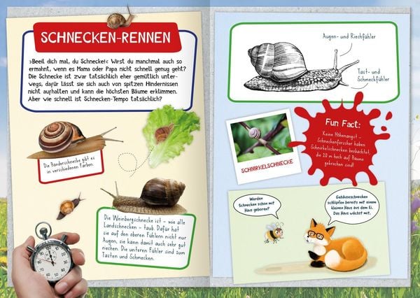 Produktbild: Naturforscher-Kids &ndash; Mein erstes Naturforscher-Buch