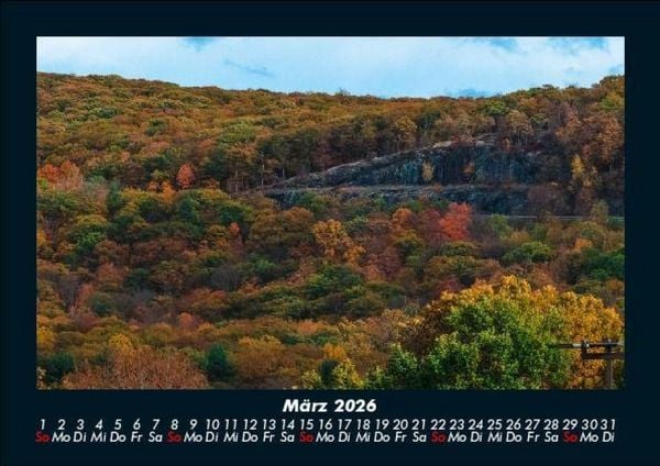 Produktbild: B&auml;ume 2026 Fotokalender DIN A5