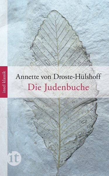 Produktbild: Die Judenbuche