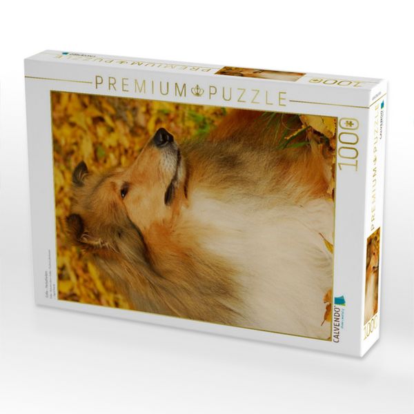 Produktbild: CALVENDO Puzzle Collie - Herbstfarben | 1000 Teile Lege-Gr&ouml;&szlig;e 64x48cm Foto-Puzzle f&uuml;r gl&uuml;ckliche Stunden