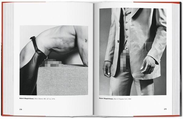 Produktbild: The Male Nude
