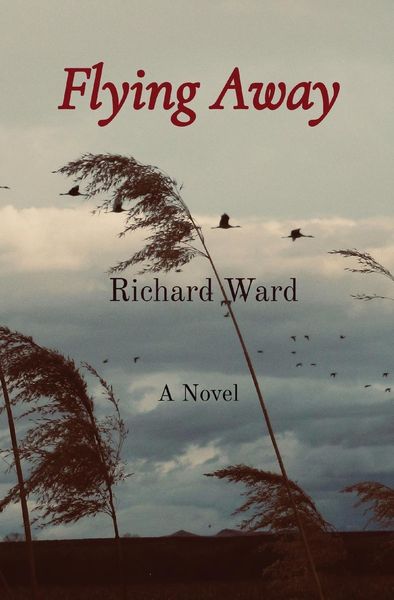 Produktbild: Flying Away
