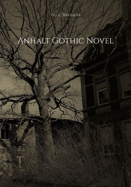 Produktbild: Anhalt Gothic Novel
