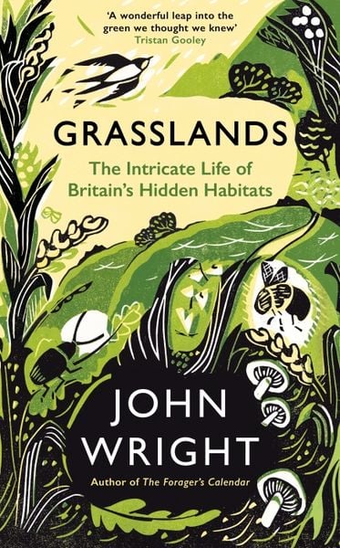 Produktbild: Grasslands