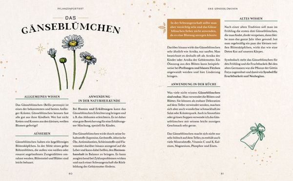 Produktbild: Zaubernuss und Waldmagie – Naturmomente für deine Seele
