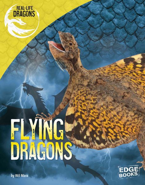 Produktbild: Flying Dragons