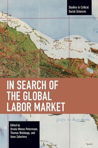 Produktbild: In Search of the Global Labor Market