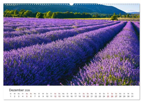 Produktbild: Tr&auml;ume aus Lavendel, Provence in Rosa bis Lila (hochwertiger Premium Wandkalender 2026 DIN A2 quer), Kunstdruck in Hochglanz