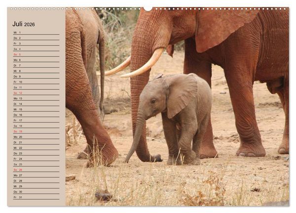 Produktbild: Elefanten in freier Wildbahn (Wandkalender 2026 DIN A2 quer), CALVENDO Monatskalender