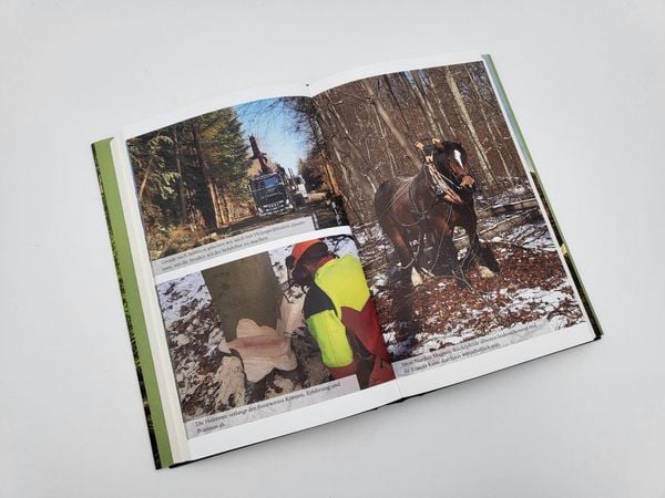 Produktbild: Der Wald der Zukunft