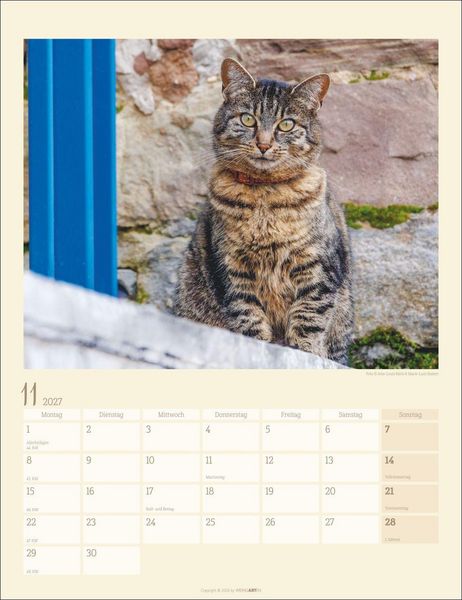 Produktbild: Katzen auf dem Lande Kalender 2027