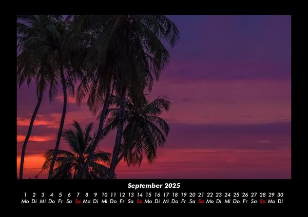 Produktbild: Palmentraum 2025 Fotokalender DIN A3