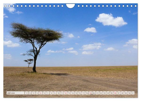 Produktbild: Tansania - Durch die Nationalparks Ostafrikas (Wandkalender 2026 DIN A4 quer), CALVENDO Monatskalender