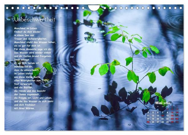 Produktbild: Lichtblicke f&uuml;r Auge und Seele - Der Kalender (Wandkalender 2026 DIN A4 quer), CALVENDO Monatskalender