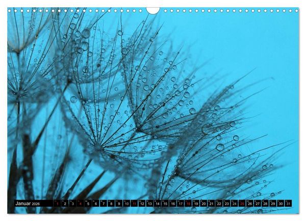 Produktbild: Wassertropfen - Diamanten des Lebens (Wandkalender 2026 DIN A3 quer), CALVENDO Monatskalender