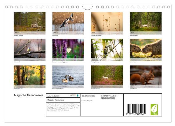 Produktbild: Magische Tiermomente (Wandkalender 2027 DIN A4 quer), CALVENDO Monatskalender