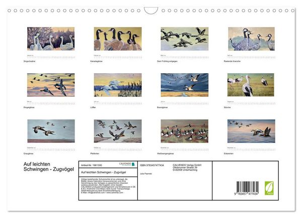 Produktbild: Auf leichten Schwingen - Zugv&ouml;gel (Wandkalender 2026 DIN A3 quer), CALVENDO Monatskalender