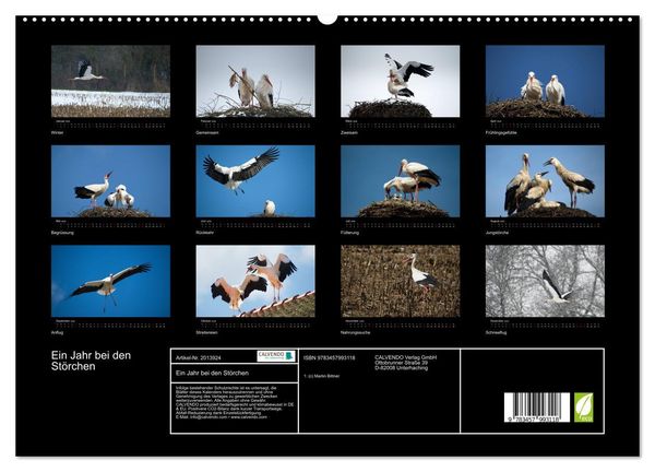 Produktbild: Ein Jahr bei den St&ouml;rchen (hochwertiger Premium Wandkalender 2026 DIN A2 quer), Kunstdruck in Hochglanz