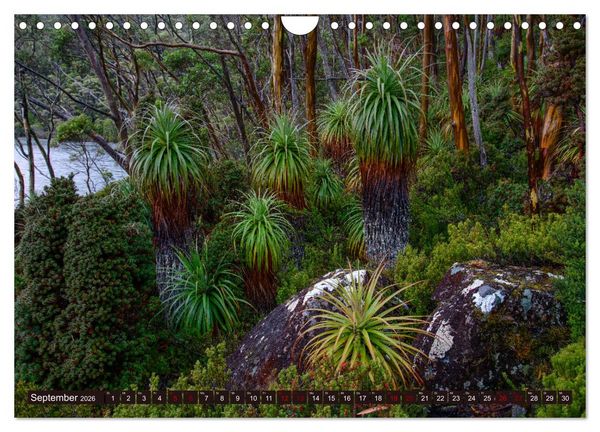Produktbild: Traumpfade Australien (Wandkalender 2026 DIN A4 quer), CALVENDO Monatskalender