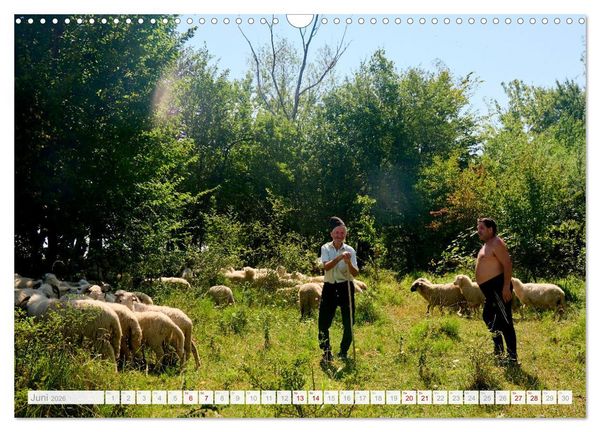 Produktbild: Streifz&uuml;ge durch die Walachei (Wandkalender 2026 DIN A3 quer), CALVENDO Monatskalender