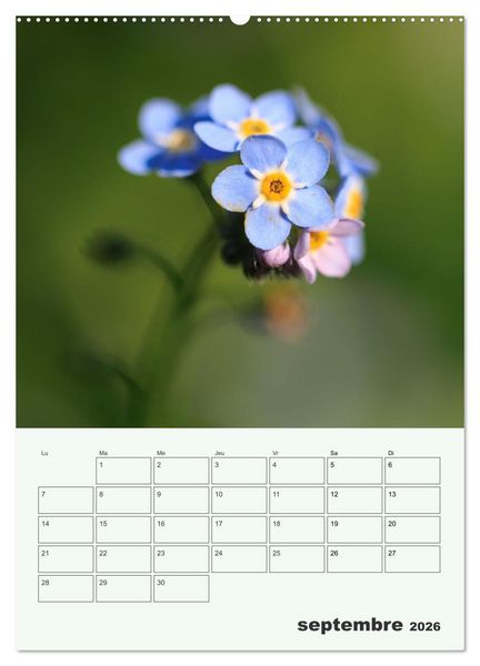 Produktbild: Les fleurs, &eacute;ternelles &eacute;phem&egrave;res (Calendrier mural 2026 DIN A2 horizontal) calendrier de bureau