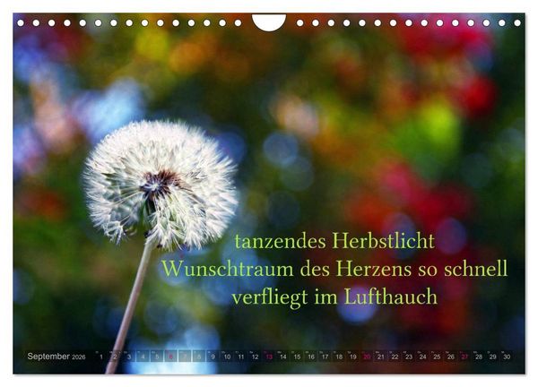 Produktbild: Haiku - Gedichte in 17 Silben (Wandkalender 2026 DIN A4 quer), CALVENDO Monatskalender