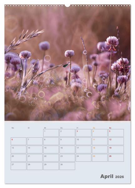 Produktbild: Magie im Garten (hochwertiger Premium Wandkalender 2026 DIN A2 hoch), Kunstdruck in Hochglanz