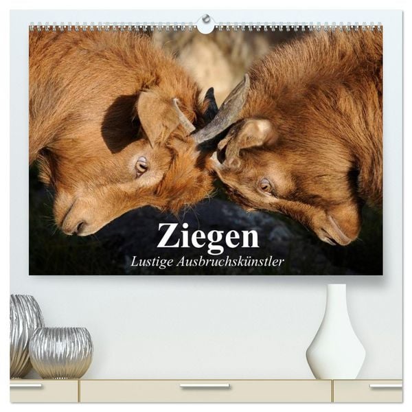 Produktbild: Ziegen. Lustige Ausbruchsk&uuml;nstler (hochwertiger Premium Wandkalender 2026 DIN A2 quer), Kunstdruck in Hochglanz