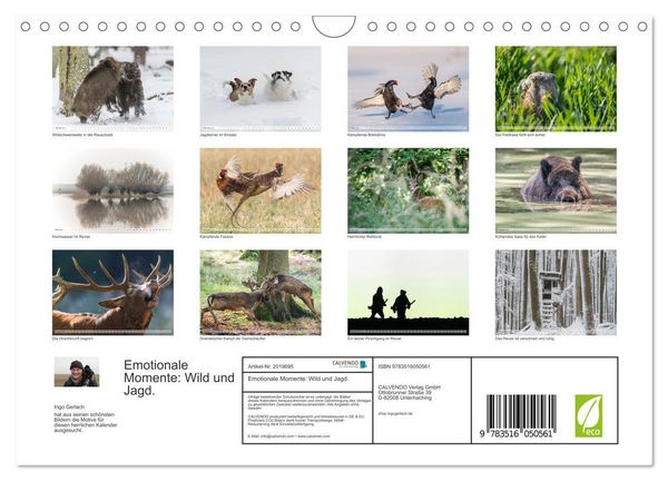 Produktbild: Emotionale Momente: Wild und Jagd. (Wandkalender 2026 DIN A4 quer), CALVENDO Monatskalender