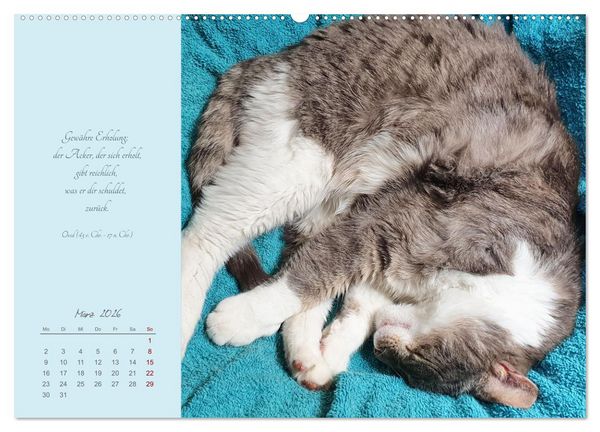 Produktbild: H&auml;ng einfach mal ab (hochwertiger Premium Wandkalender 2026 DIN A2 quer), Kunstdruck in Hochglanz