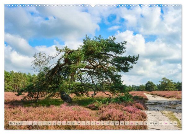 Produktbild: L&uuml;neburger S&uuml;dheide (hochwertiger Premium Wandkalender 2026 DIN A2 quer), Kunstdruck in Hochglanz