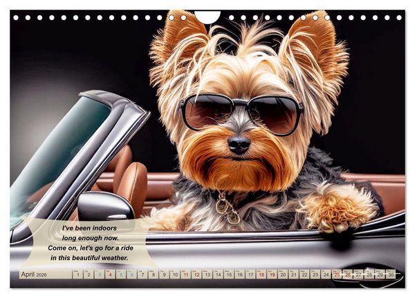 Produktbild: Great fun for Yorkshire Terrier lovers (Wall Calendar 2026 DIN A4 landscape), CALVENDO 12 Month Wall Calendar