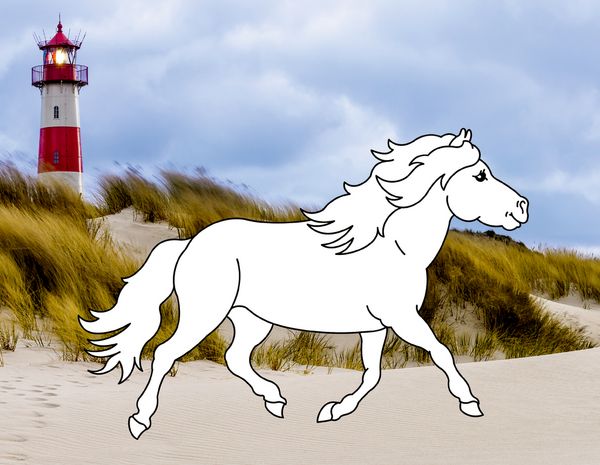 Produktbild: Traumpferde-Malbuch: Strand & Meer - Pferdefreunde