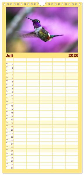 Produktbild: Familienplaner 2026 - Kolibris; Anmut, Sch&ouml;nheit, Farben mit 5 Spalten (Wandkalender, 21 x 45 cm) CALVENDO