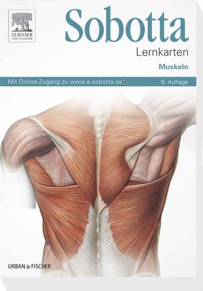 Produktbild: Sobotta Lernkarten Muskeln