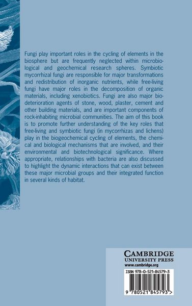 Produktbild: Fungi in Biogeochemical Cycles