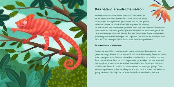 Produktbild: FamilyFlow. Sei ein Dschungeltier!