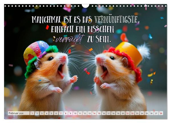 Produktbild: Hamsterhumor - Kleine Zuckerschnute, aber oho (Wandkalender 2026 DIN A3 quer), CALVENDO Monatskalender