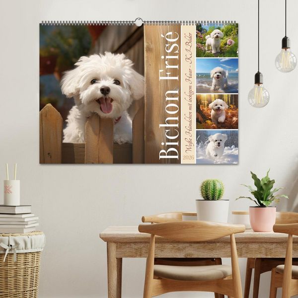 Produktbild: Bichon fris&eacute;, wei&szlig;e H&uuml;ndchen mit lockigem Haar (Wandkalender 2026 DIN A2 quer), CALVENDO Monatskalender