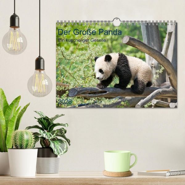 Produktbild: Der Gro&szlig;e Panda Ein kuscheliger Geselle (Wandkalender 2026 DIN A4 quer), CALVENDO Monatskalender